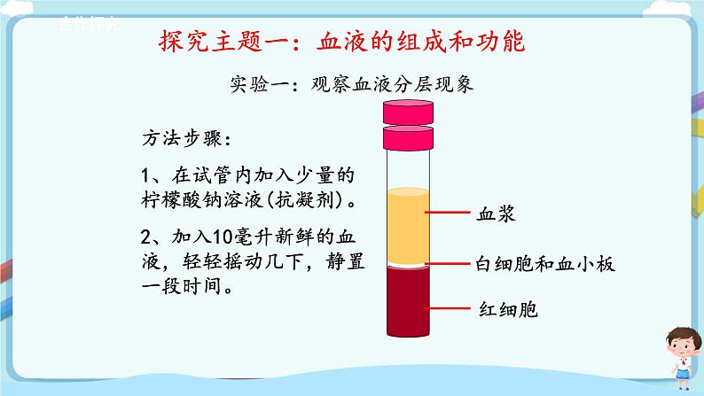 济南版生物七年级下册   3.3.1 物质运输的载体  课件)+学案（含答案）+练习（含解析）04