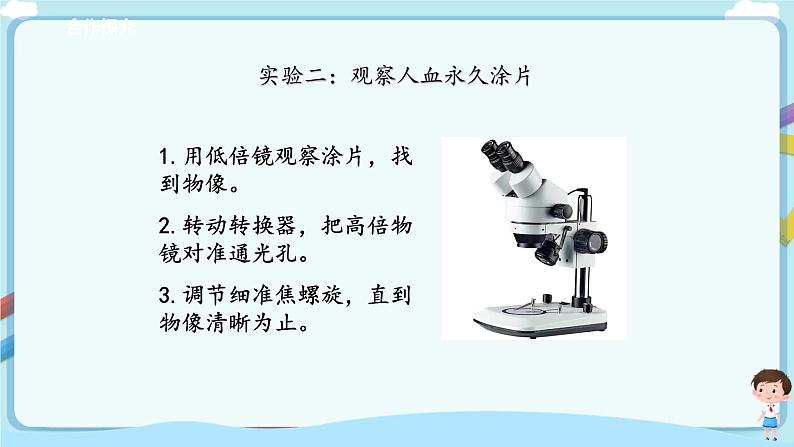 济南版生物七年级下册   3.3.1 物质运输的载体  课件)+学案（含答案）+练习（含解析）07