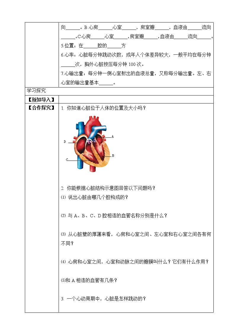 济南版生物七年级下册 3.3.2 物质运输的器官（学案）第3页