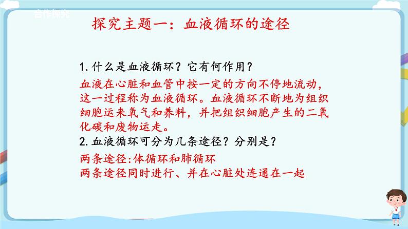 济南版生物七年级下册   3.3.3 物质运输的途径  课件+学案（含答案）+练习（含解析）04