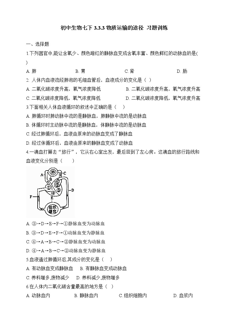济南版生物七年级下册   3.3.3 物质运输的途径  课件+学案（含答案）+练习（含解析）01