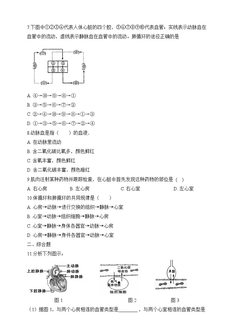 济南版生物七年级下册   3.3.3 物质运输的途径  课件+学案（含答案）+练习（含解析）02