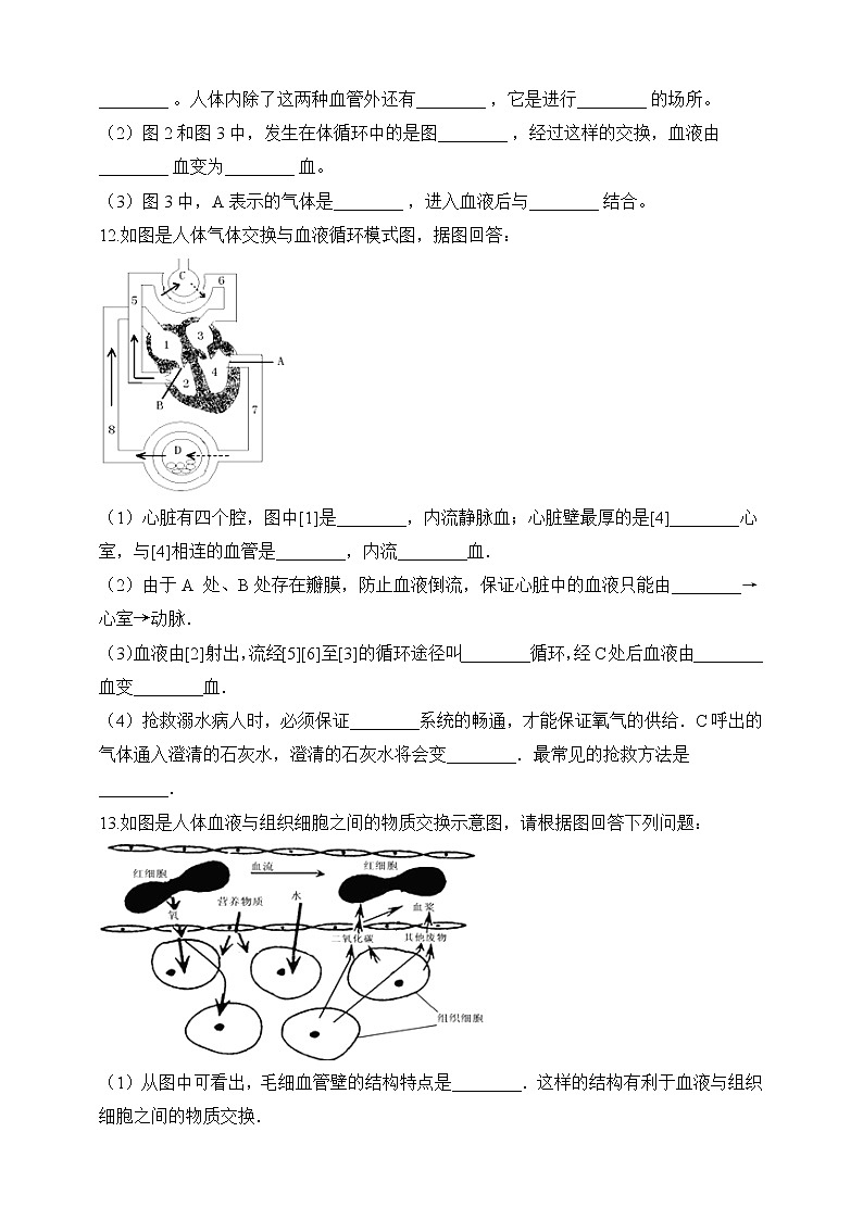 济南版生物七年级下册   3.3.3 物质运输的途径  课件+学案（含答案）+练习（含解析）03
