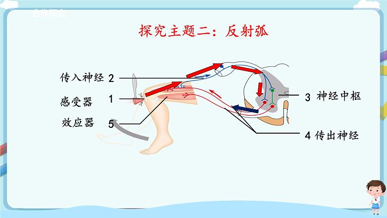 济南版生物七年级下册 3.5.3 神经调节的基本方式  课件+学案（含答案）+练习（含解析）08