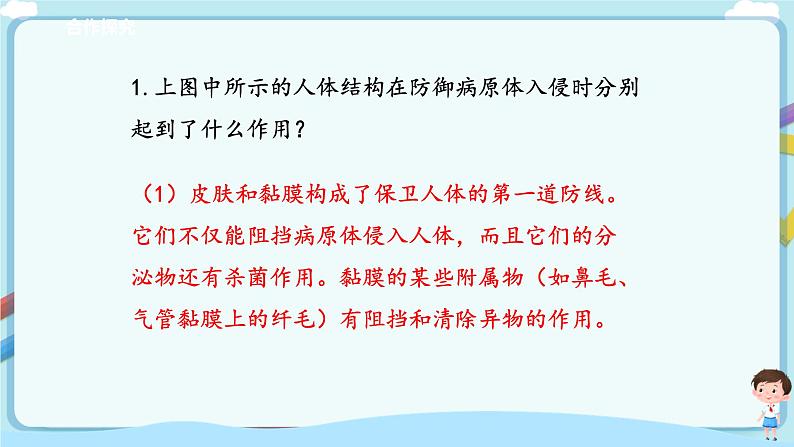 济南版生物七年级下册 3.6.1 人体的免疫功能（课件）第5页