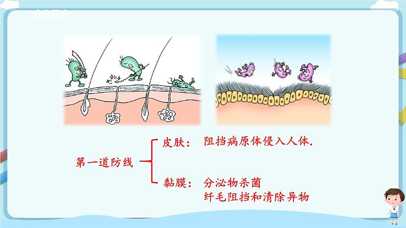 济南版生物七年级下册 3.6.1 人体的免疫功能（课件）第6页