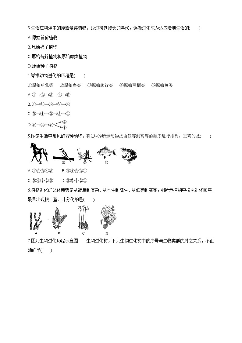 【新课标】济南版生物八下5.1.3 生物进化的历程  课件+教案+学案+素材03
