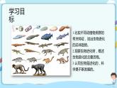 【新课标】济南版生物八下5.1.3 生物进化的历程  课件+教案+学案+素材