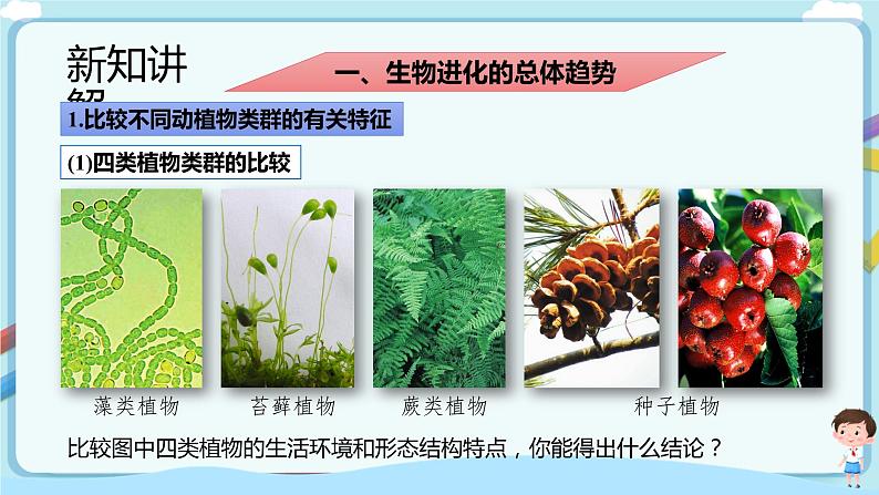 【新课标】济南版生物八下5.1.3 生物进化的历程  课件+教案+学案+素材04