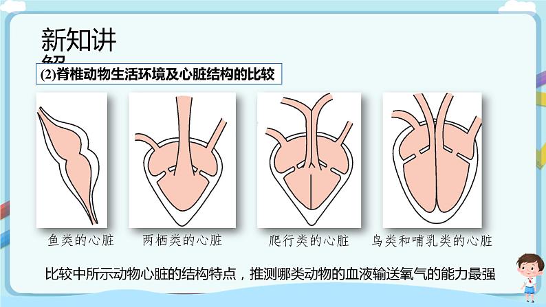 【新课标】济南版生物八下5.1.3 生物进化的历程  课件+教案+学案+素材06