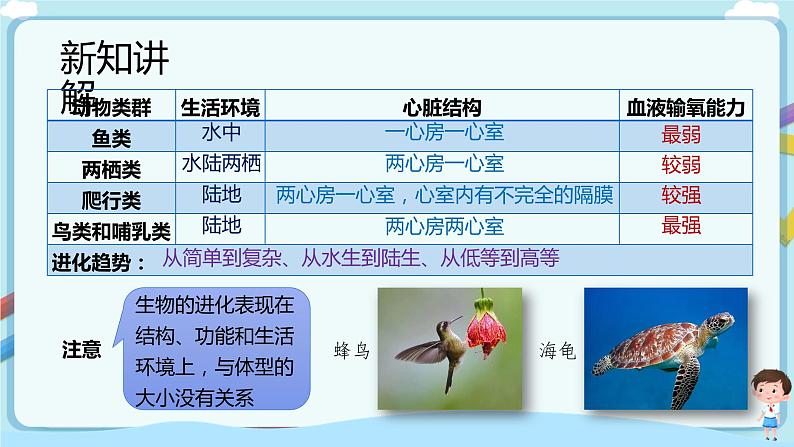 【新课标】济南版生物八下5.1.3 生物进化的历程  课件+教案+学案+素材07