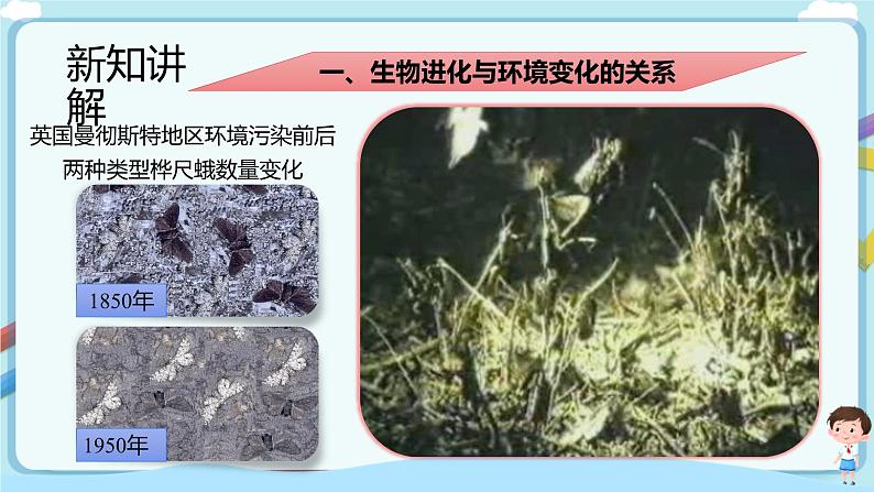 【新课标】济南版生物八下5.1.4 生物进化的原因  课件+教案+学案+素材04