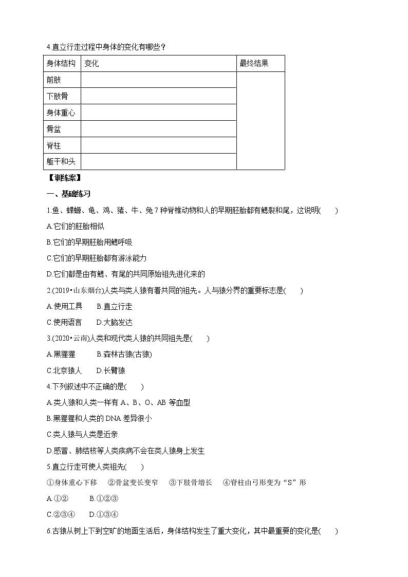 【新课标】济南版生物八下5.2.1 人类的起源  课件+教案+学案+素材03