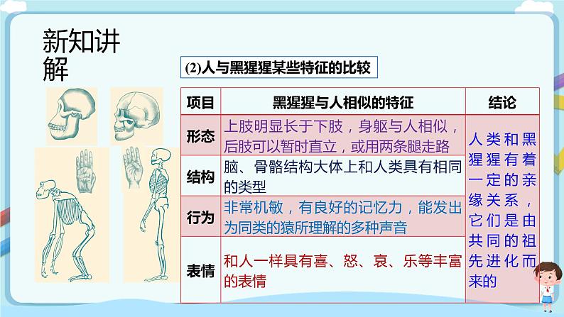 【新课标】济南版生物八下5.2.1 人类的起源  课件+教案+学案+素材08