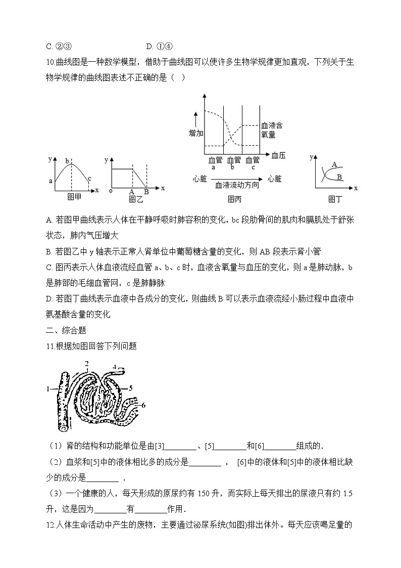 济南版生物七年级下册 3.4.1 尿的形成与排出（习题）第2页