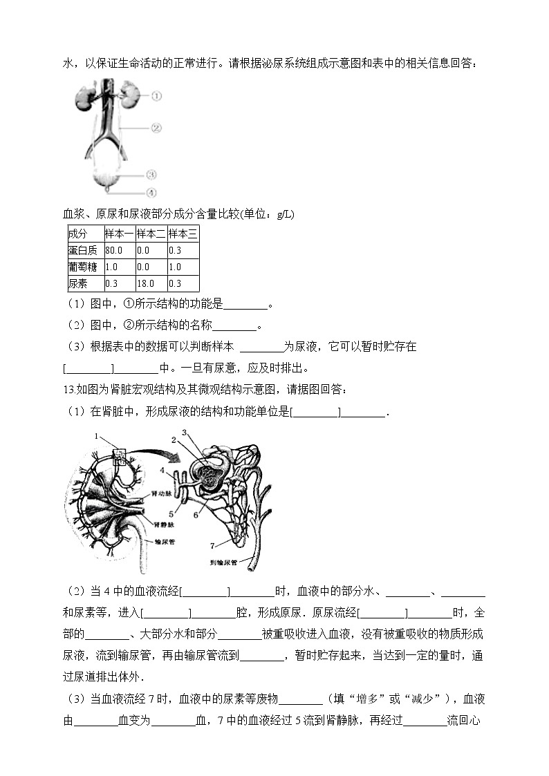 济南版生物七年级下册 3.4.1 尿的形成与排出（习题）第3页