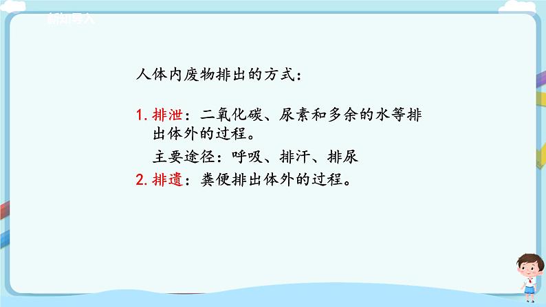 济南版生物七年级下册 3.4.1 尿的形成与排出（课件）第4页