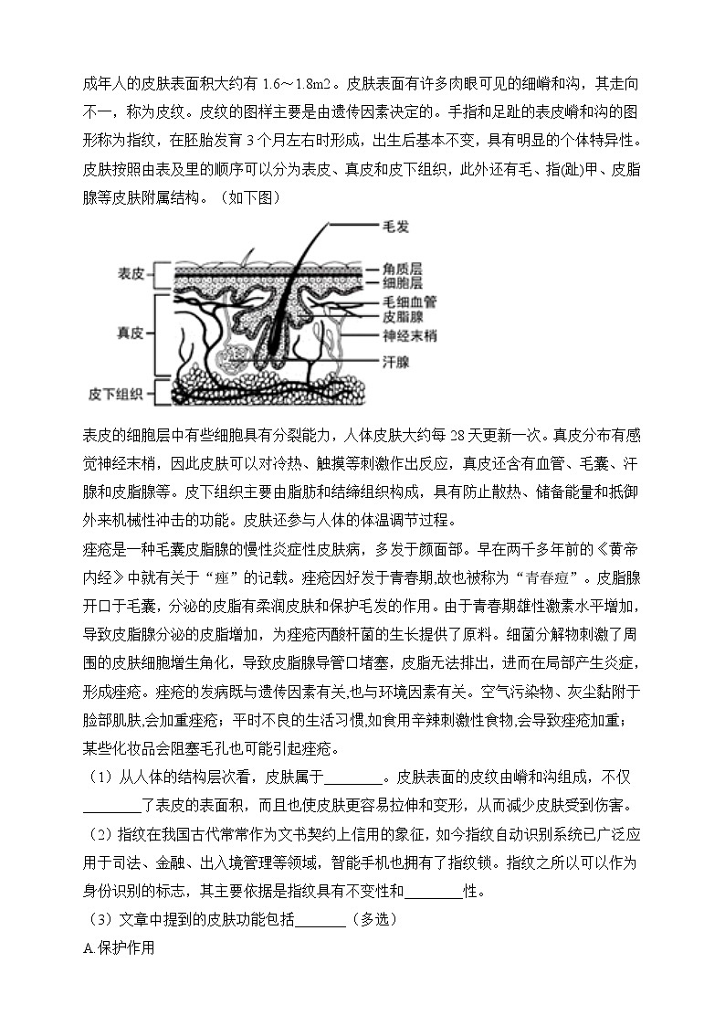 济南版生物七年级下册 3.4.2 汗液的形成与排出  课件+学案（含答案）+练习（含解析）03