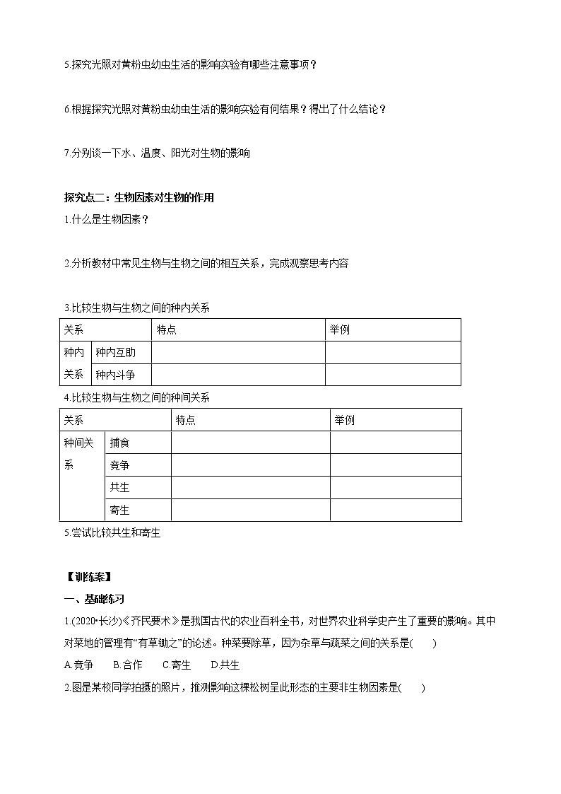 【新课标】济南版生物八下6.1.1 环境对生物的作用  学案第2页