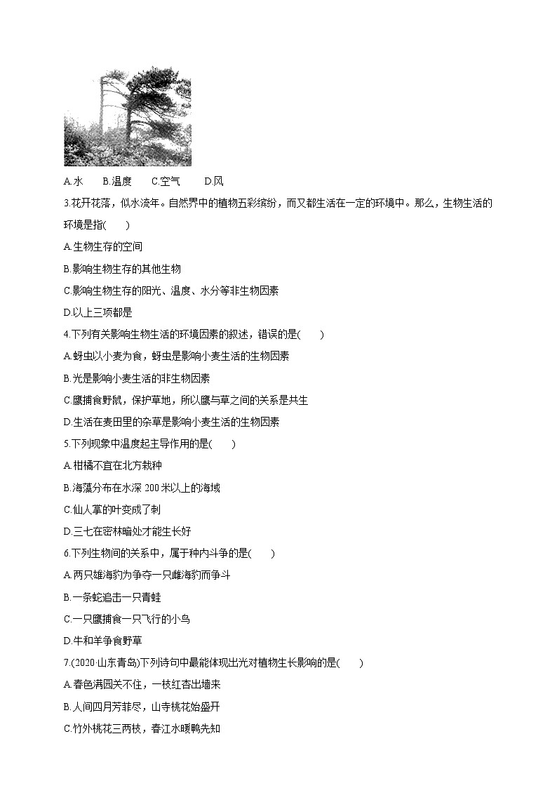 【新课标】济南版生物八下6.1.1 环境对生物的作用  学案第3页