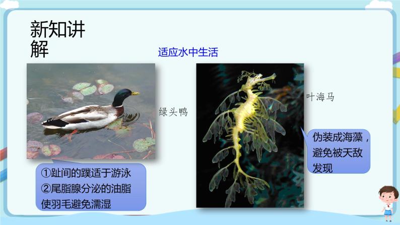 【新课标】济南版生物八下6.1.2 生物对环境的适应与影响  课件+教案+学案+素材06