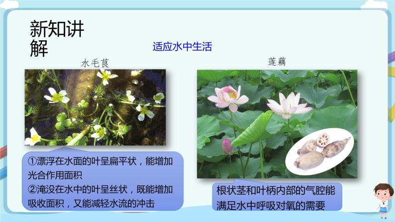 【新课标】济南版生物八下6.1.2 生物对环境的适应与影响  课件+教案+学案+素材07