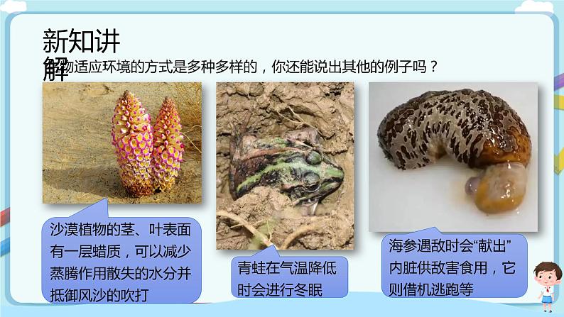 济南版生物八下6.1.2 生物对环境的适应与影响  课件第8页