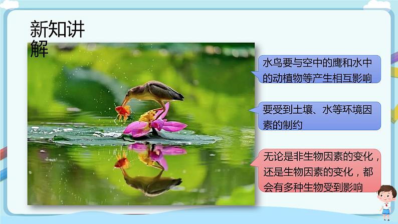 【新课标】济南版生物八下6.2.1 生态系统的组成  课件+教案+学案+素材04