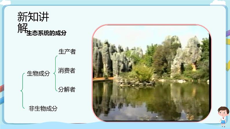 【新课标】济南版生物八下6.2.1 生态系统的组成  课件+教案+学案+素材08