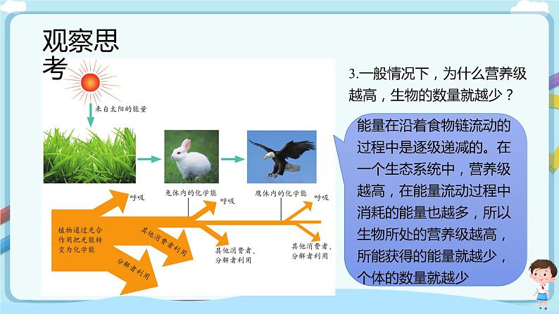 【新课标】济南版生物八下6.2.3 能量流动和物质循环  课件+教案+学案+素材08