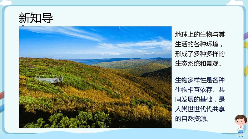 【新课标】济南版生物八下6.3.1 生物多样性  课件+教案+学案+素材03