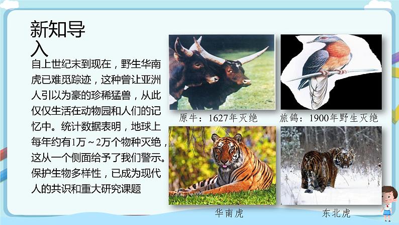 【新课标】济南版生物八下6.3.2 生物多样性的保护  课件+教案+学案+素材03