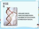 济南版生物八下7.2.1 基因工程  课件+教案+学案+素材