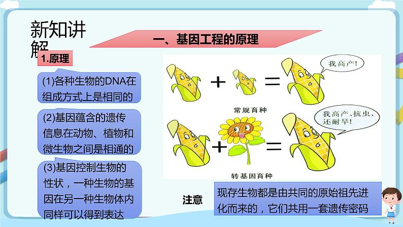 济南版生物八下7.2.1 基因工程  课件+教案+学案+素材05