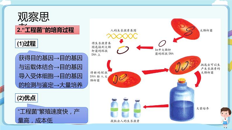 济南版生物八下7.2.1 基因工程  课件+教案+学案+素材06