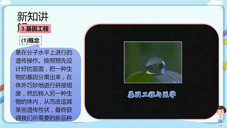 济南版生物八下7.2.1 基因工程  课件+教案+学案+素材08