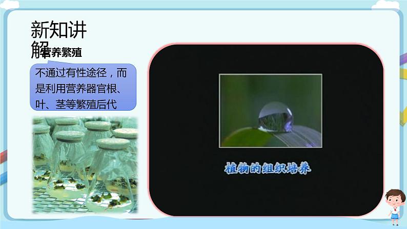 济南版生物八下7.2.2 克隆技术  课件+教案+学案+素材04