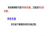人教版八年级生物下册--7.1.1--植物的生殖（课件）