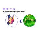 人教版八年级生物下册--7.1.2--昆虫的生殖和发育（课件1）