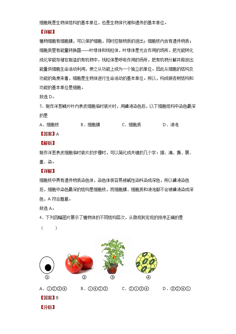 备战2023生物新中考二轮复习考点精讲精练（北京专用）专题03生物体的结构02