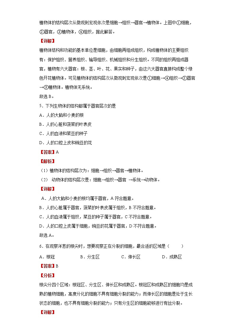 备战2023生物新中考二轮复习考点精讲精练（北京专用）专题03生物体的结构03