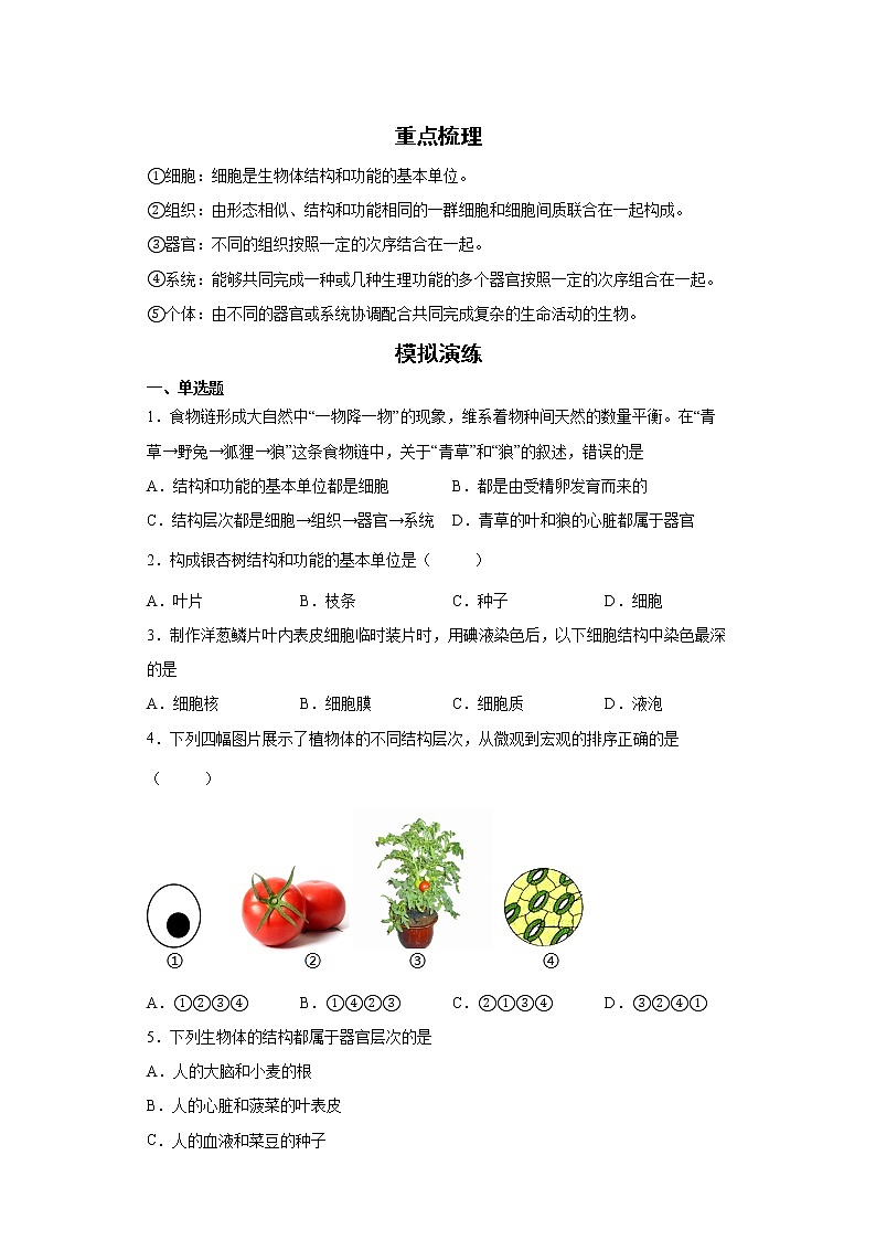 备战2023生物新中考二轮复习考点精讲精练（北京专用）专题03生物体的结构01