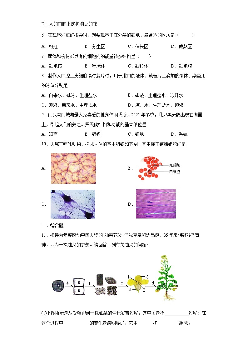 备战2023生物新中考二轮复习考点精讲精练（北京专用）专题03生物体的结构02