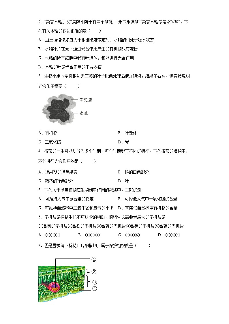 备战2023生物新中考二轮复习考点精讲精练（北京专用）专题04生物的营养02