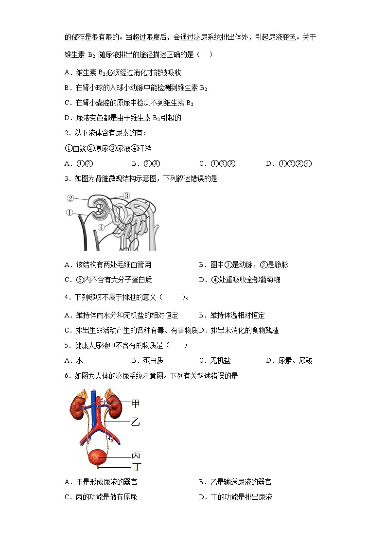 备战2023生物新中考二轮复习考点精讲精练（北京专用）专题07生物的排泄02