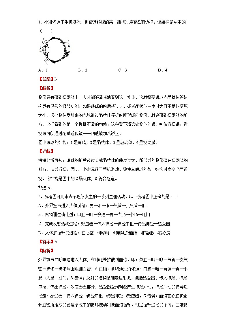 备战2023生物新中考二轮复习考点精讲精练（北京专用）专题08生命活动的调节03