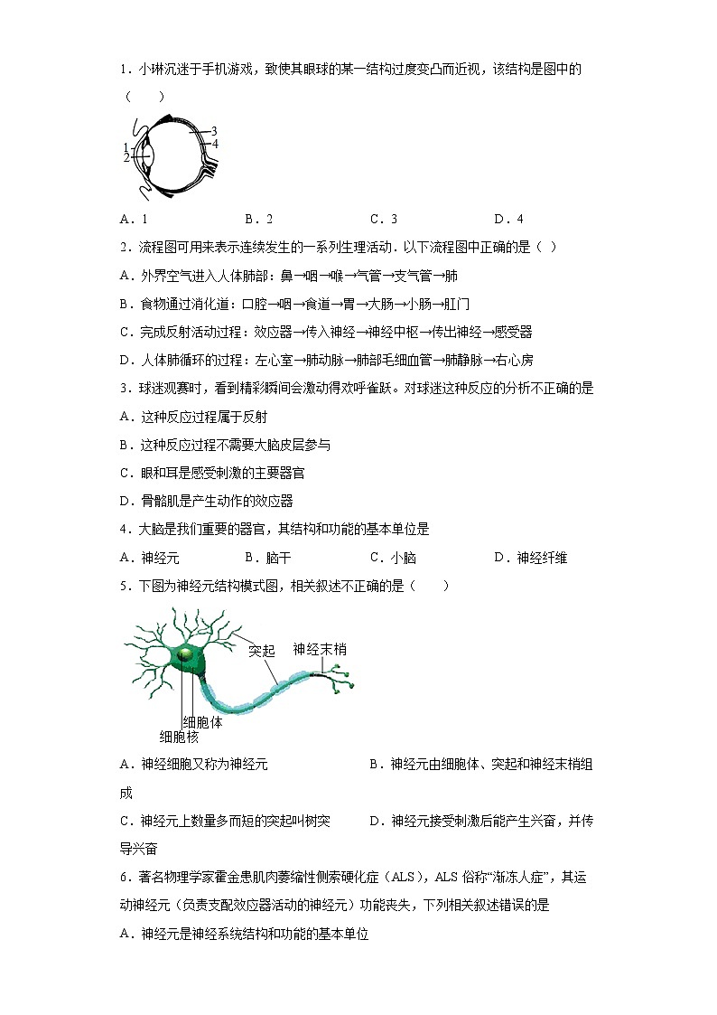 备战2023生物新中考二轮复习考点精讲精练（北京专用）专题08生命活动的调节03