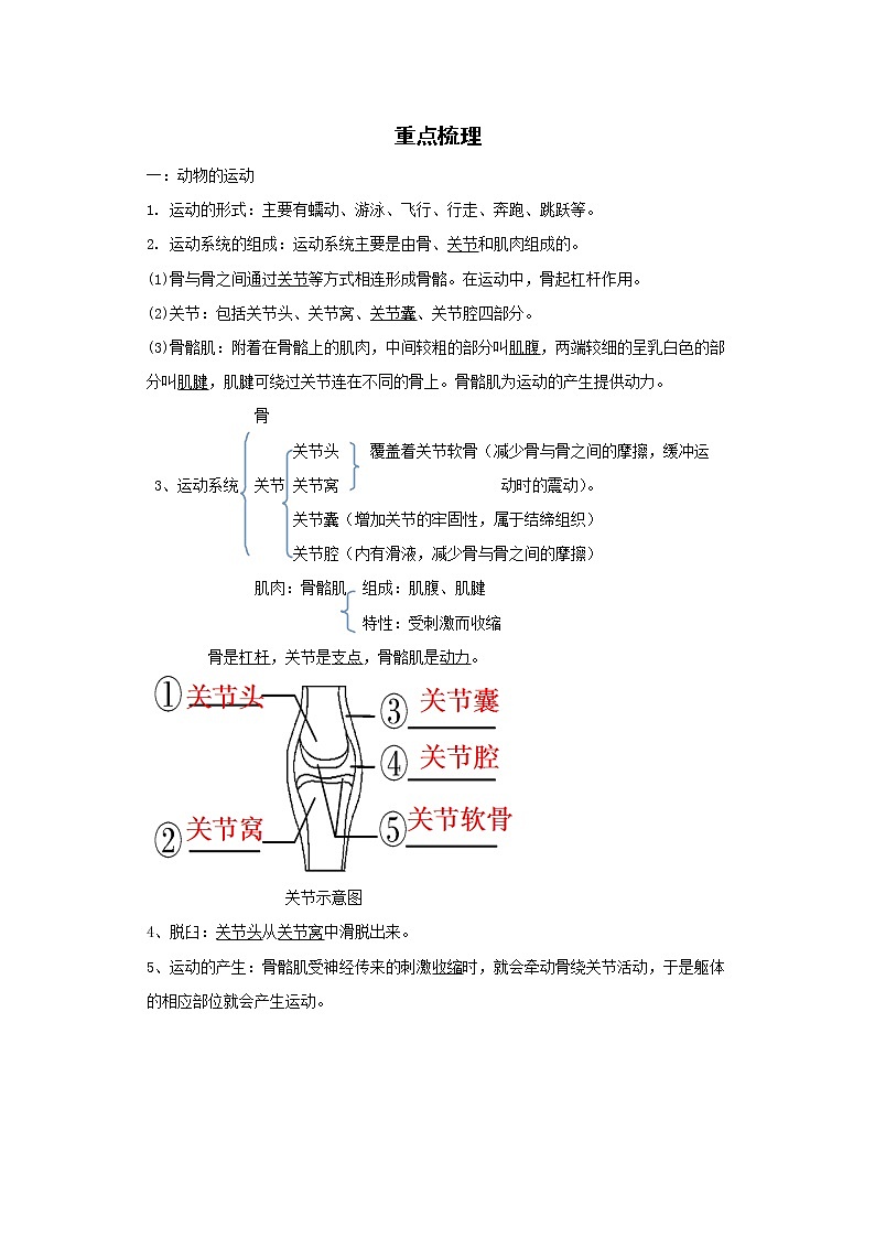 备战2023生物新中考二轮复习考点精讲精练（北京专用）专题09动物的运动和行为01