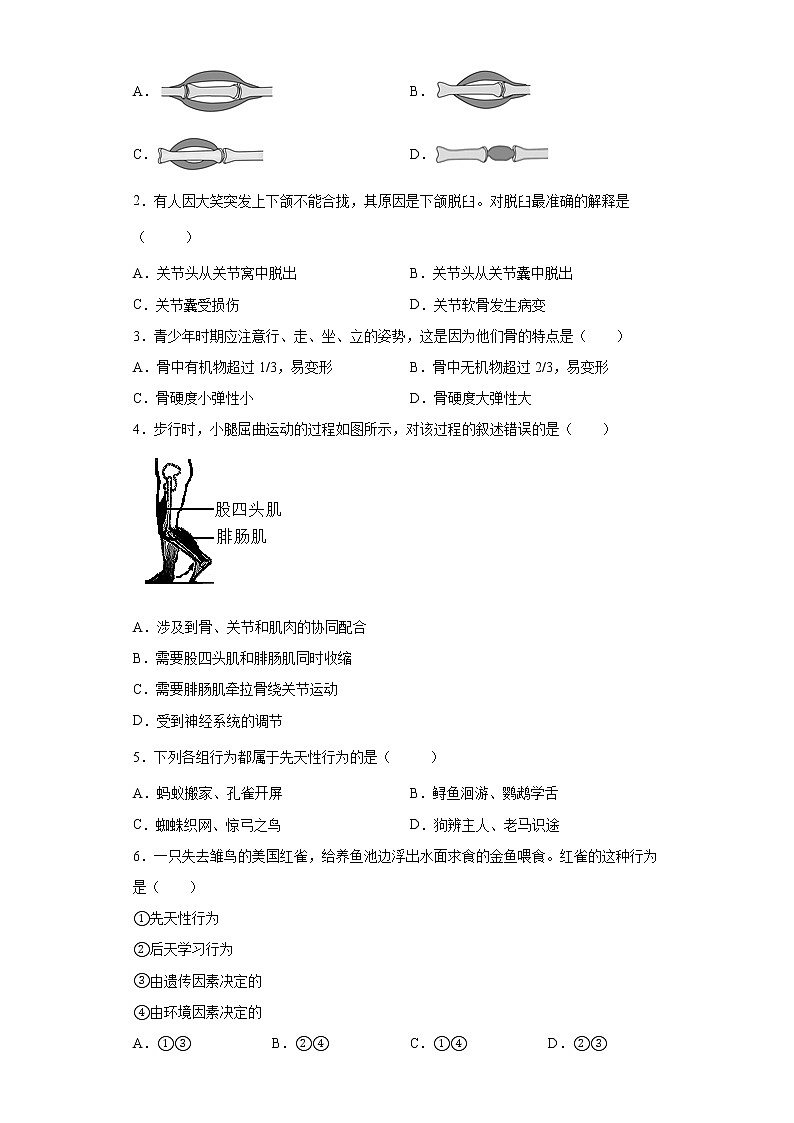 备战2023生物新中考二轮复习考点精讲精练（北京专用）专题09动物的运动和行为03