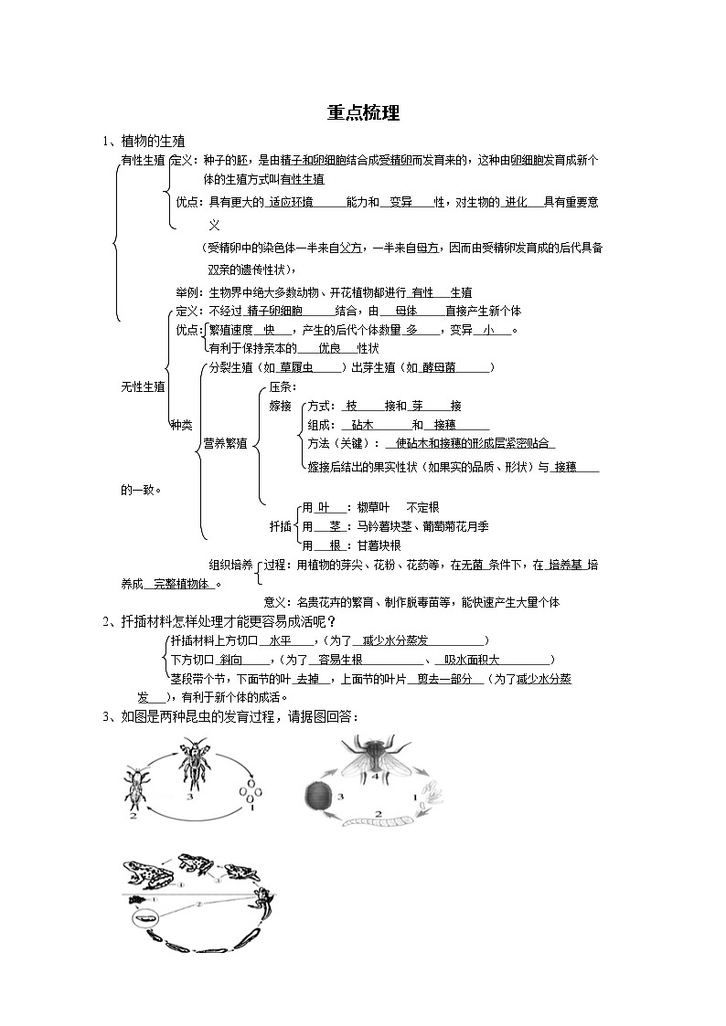 备战2023生物新中考二轮复习考点精讲精练（北京专用）专题12生命的起源和生物的进化01